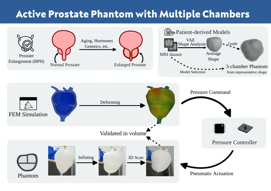 Overview of the paper