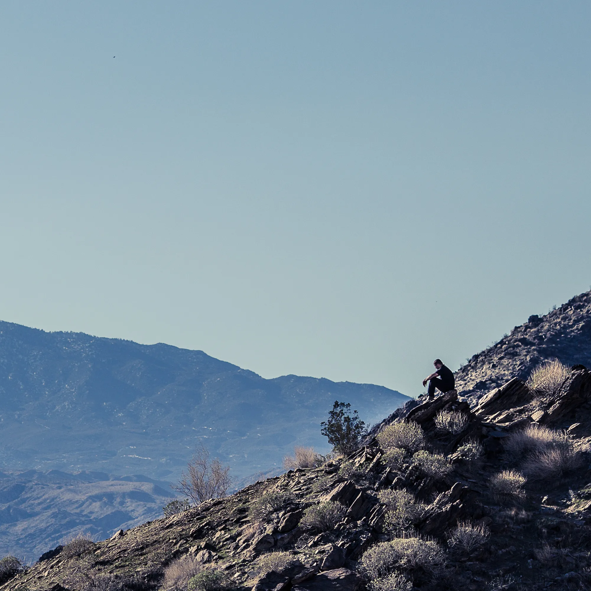 Alone in the Desert